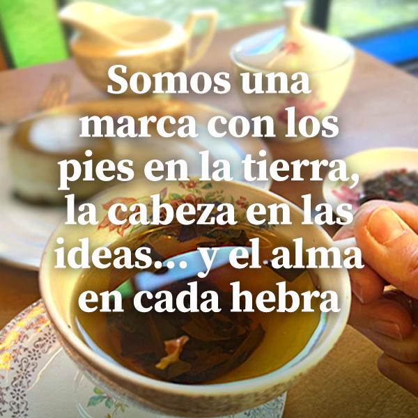 marca sobre los tierras